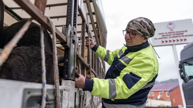 ERZURUM - Doğu Anadolu