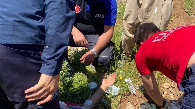 Hakkari'de hayvanlarını otlatırken ayının saldırdığı kişi yaralandı