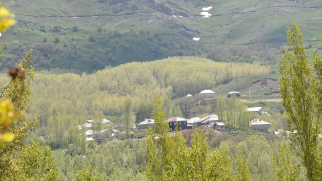 Hakkarili çiftçi 20 yıldır yaşlı ve engelliler için ücretsiz baston yapıyor1