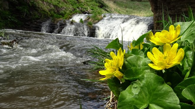 Kar örtüsünün kalktığı Keklik Vadisi