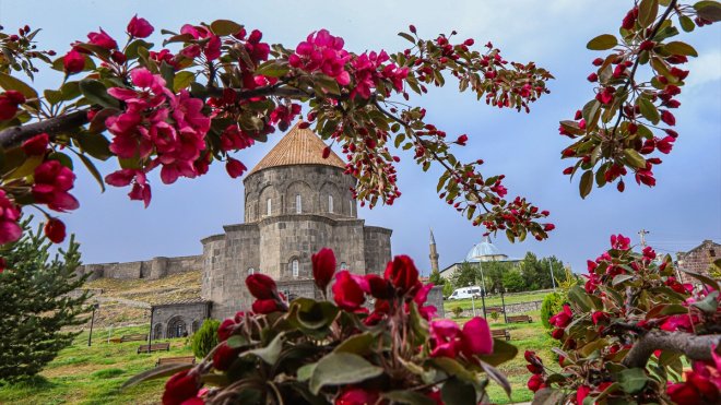 KARS - Bahar çiçekleri doğaya renk kattı1