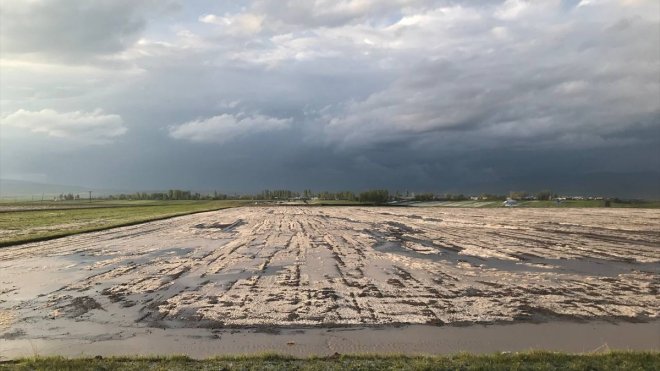 Kars'ta etkili olan dolu tarım arazilerine zarar verdi