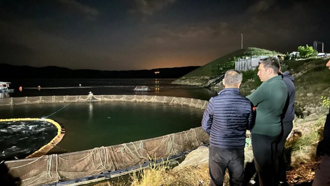 Keban'da somon balığı hasadı yapıldı