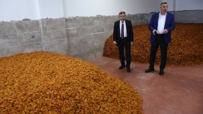 Malatya'daki Dünya Kayısı Ticaret Merkezi gazetecilere tanıtıldı