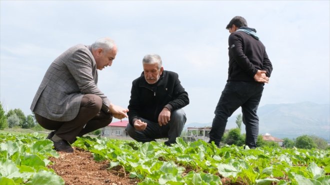 Malatya Tarım ve Orman İl Müdürü Akar, Doğanşehir'de incelemelerde bulundu