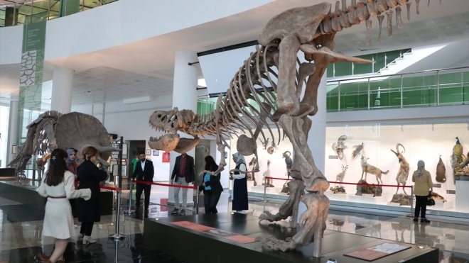 Milyonlarca yıllık fosillerin sergilendiği Biyoçeşitlilik Bilim Müzesi açılışa hazırlanıyor1