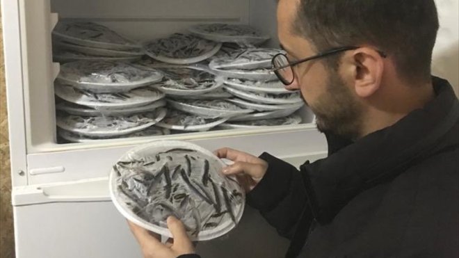 Tunceli'de "Su Ürünleri Kanunu"na muhalefetten 26 kişiye 214 bin 291 lira ceza