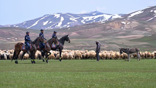 VAN - Atlı jandarma timi sınır hattındaki arazilerde devriyede1