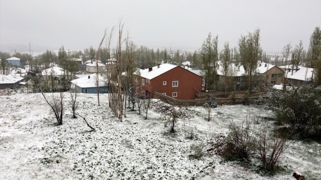 Van'ın Başkale ilçesinde kar etkili oldu