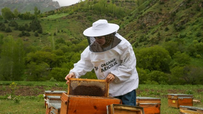 VAN - Biyosistem mühendisi girişimci, devlet desteğiyle arıcılığa başladı1