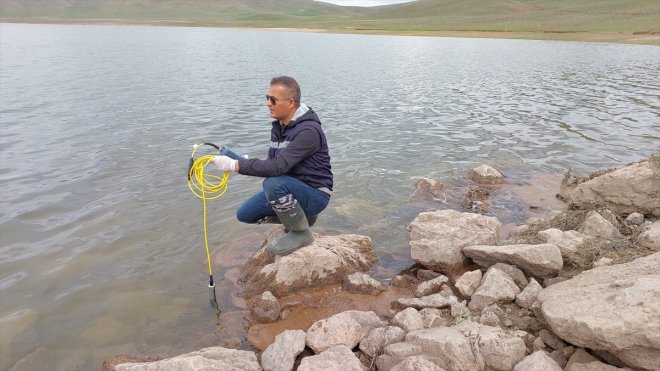 Van'da göletlerdeki balık ölümlerinin nedeni araştırılıyor