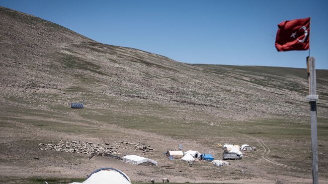 Erzurum yaylaları 500'ün üzerinde göçer aile ile 70 bin küçükbaşı ağırlıyor