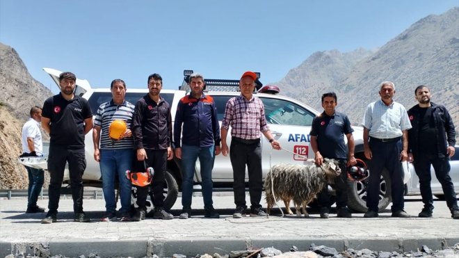 Hakkari'de kayalıklarda mahsur kalan kurbanlık keçi kurtarıldı