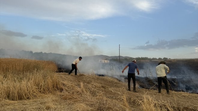 MALATYA - 10 dönüm buğday ekili alan yandı1
