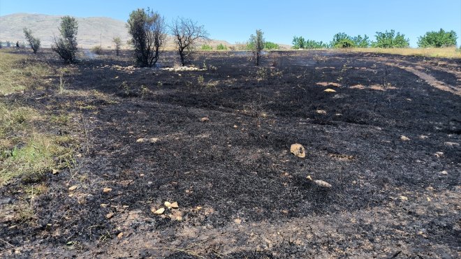 Malatya'da çıkan örtü yangını kontrol altına alındı