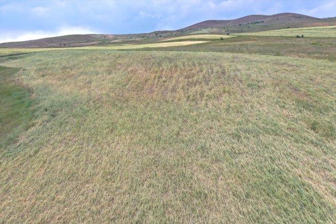 verdiği sürüyor Ağrı