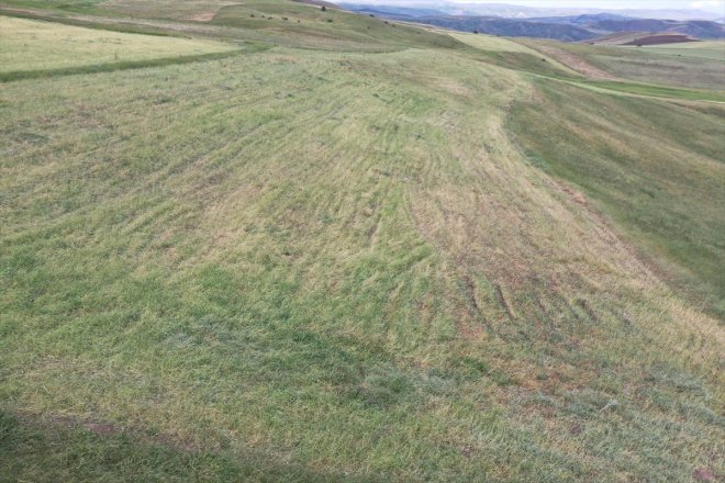 sürüyor verdiği Ağrı