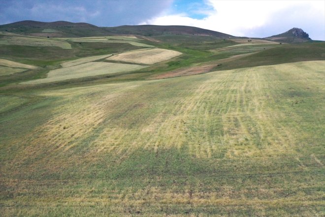 tespiti dolunun Ağrı
