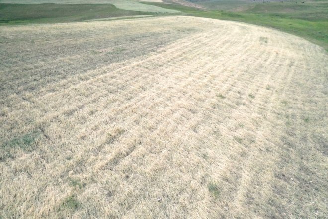 verdiği zararın dolunun arazilerine Ağrı