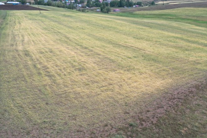 tarım verdiği sürüyor arazilerine tespiti dolunun zararın Ağrı