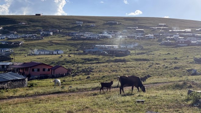 Ardahan'daki yayla evlerinde yaşayanlar odun kırıp soba yakıyor