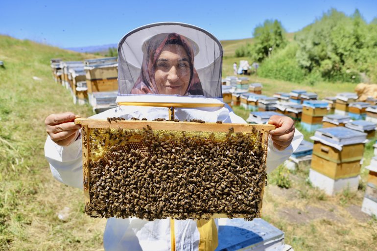 Devlet desteğiyle arıcılığa başlayan kadın girişimci, yıl içinde tonlarca verim alıyor1