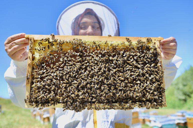 Devlet desteğiyle arıcılığa başlayan kadın girişimci, yıl içinde tonlarca verim alıyor3