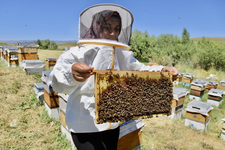 Devlet desteğiyle arıcılığa başlayan kadın girişimci, yıl içinde tonlarca verim alıyor4
