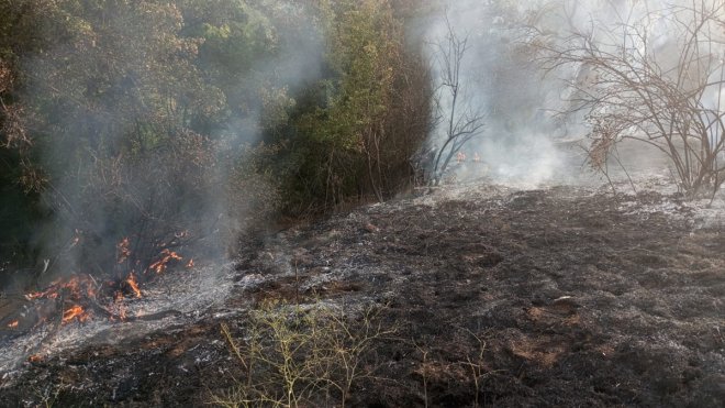 ELAZIĞ - Mera ve bahçelik alanda etkili olan yangın söndürüldü1