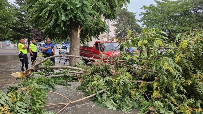 Erzincan'da fırtına çatıları uçurdu, ağaçların dallarını kırdı
