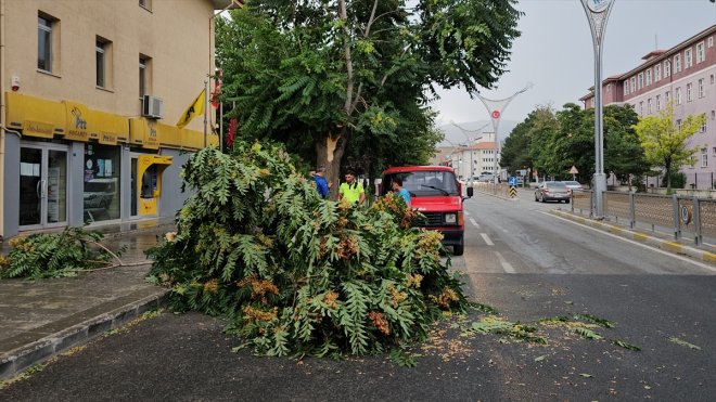 ağaç uçurdu, çatı - dallarını ERZİNCAN kırdı Fırtına 3