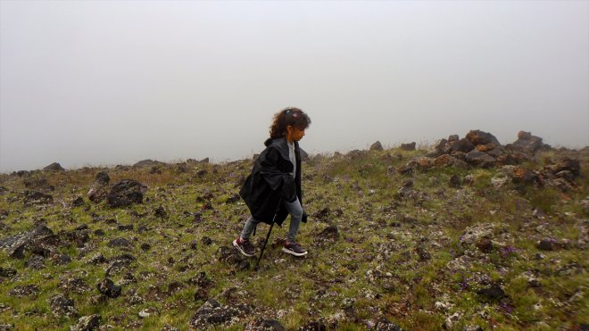 yapan Ağrı - yaşında Dağı