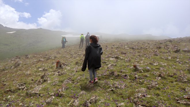 zirve Ağrı 9 - Dağı