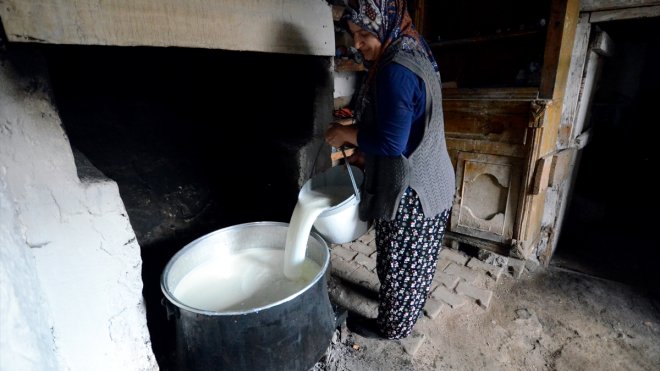 Süt üretiminin arttığı Kars'ta kadınların çeçil peyniri telaşı başladı