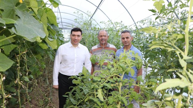 Keban Kaymakamı Furkan Atalık seraları ziyaret etti