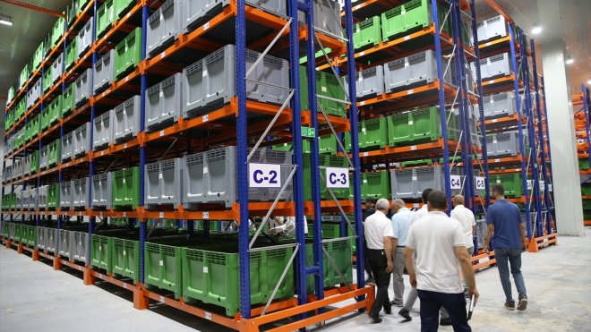 MALATYA - Kuru kayısı lisanslı depoları alımı sürdürüyor1