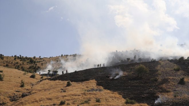 Muş'ta çıkan örtü yangını söndürüldü