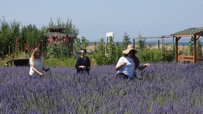 Van'da "Gezi ve Fotoğraf Günleri" etkinliği başladı