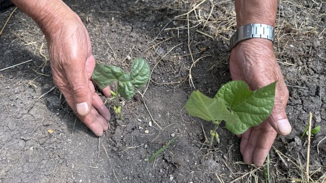 Huzurevi sakinleri doğayla bağ kurarak hayata daha güçlü bağlanıyor