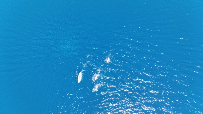 BİTLİS - Nemrut Kalderası