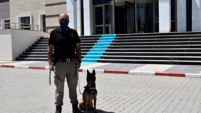 Bitlis'te yolcu otobüsünde 2 kilo 78 gram uyuşturucu ele geçirildi