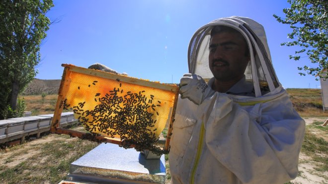 Darendeli arıcılar bu sezon kekik ve çiçek balında rekolte kaybı bekliyor