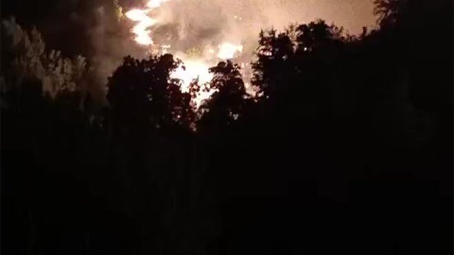 Elazığ'da ormanlık alanda çıkan yangına müdahale ediliyor