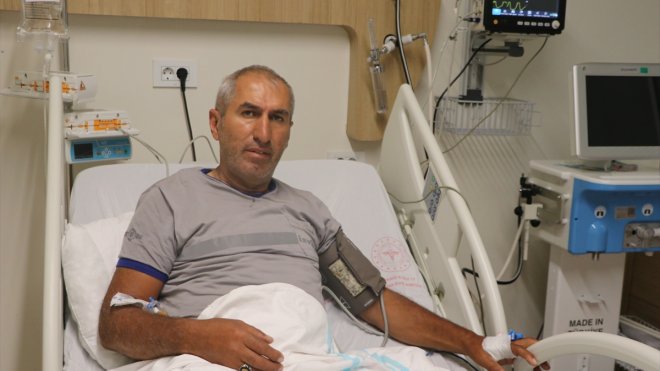 Erzurum'da doğadan toplanan mantarları yiyen 4 kişi hastanelik oldu