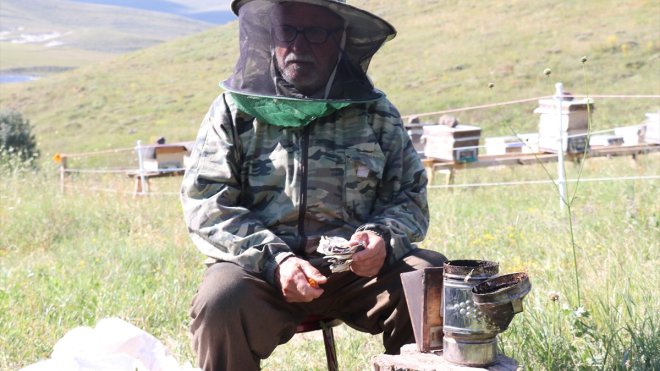 Rizeli 87 yaşındaki gezgin arıcı, sağlığını mesleğine borçlu