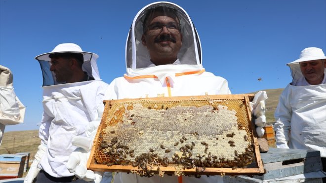 Iğdır Valisi Ercan Turan bal hasadı yaptı