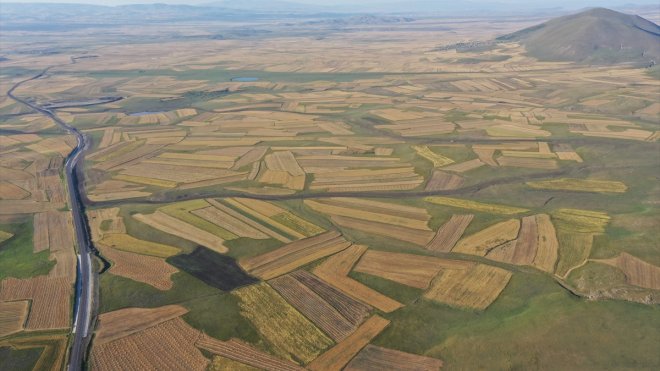 KARS - Bereketli Kars Ovası halı gibi desenlere büründü1