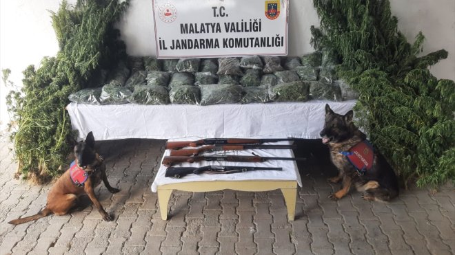 MALATYA - Uyuşturucu operasyonunda 5 şüpheli yakalandı1