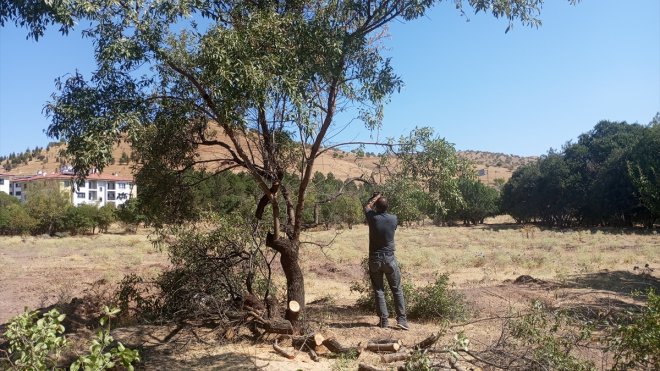 Sivrice Belediyesi Hazar Gölü çevresinde temizlik çalışması yaptı