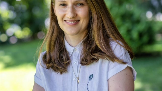 Yeditepe Üniversitesi